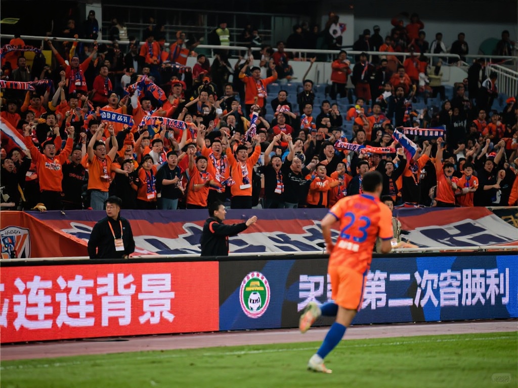 从而降低决 从而降低决